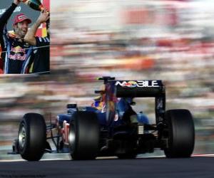 yapboz Mark Webber - Red Bull - Suzuka 2010 (Sınıflandırılmış 2 º)